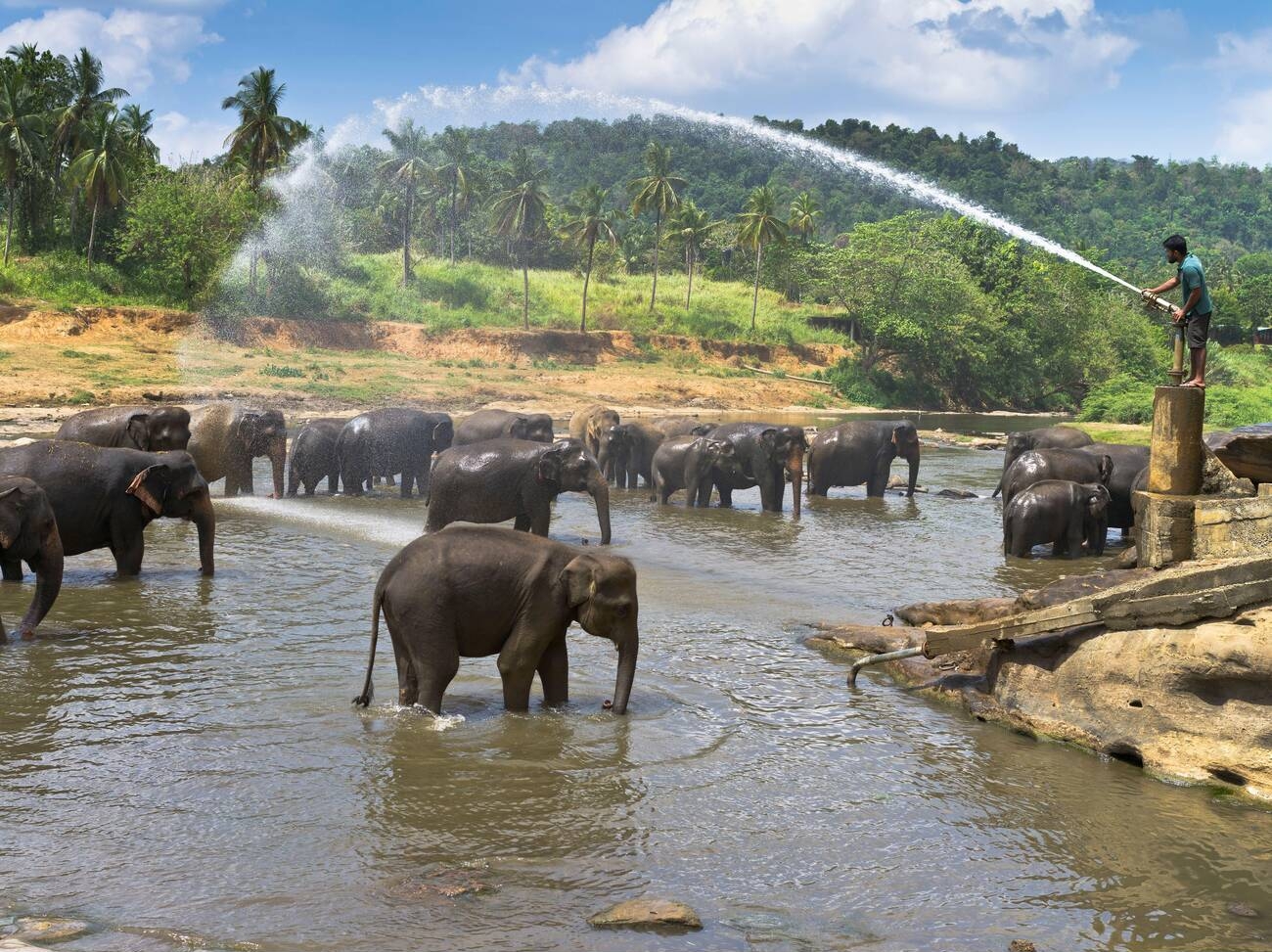 Sri Lanka at Leisure 2